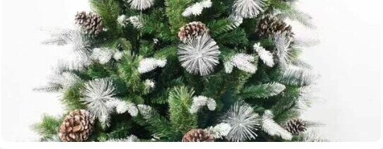 Close das folhas de PE com neve e pinhas